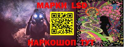 тгк Новозыбков