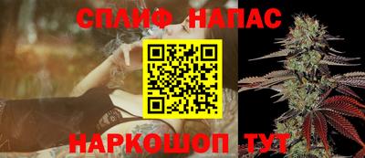 PSILOCYBIN Новодвинск