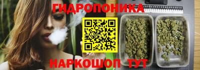 тгк Новозыбков