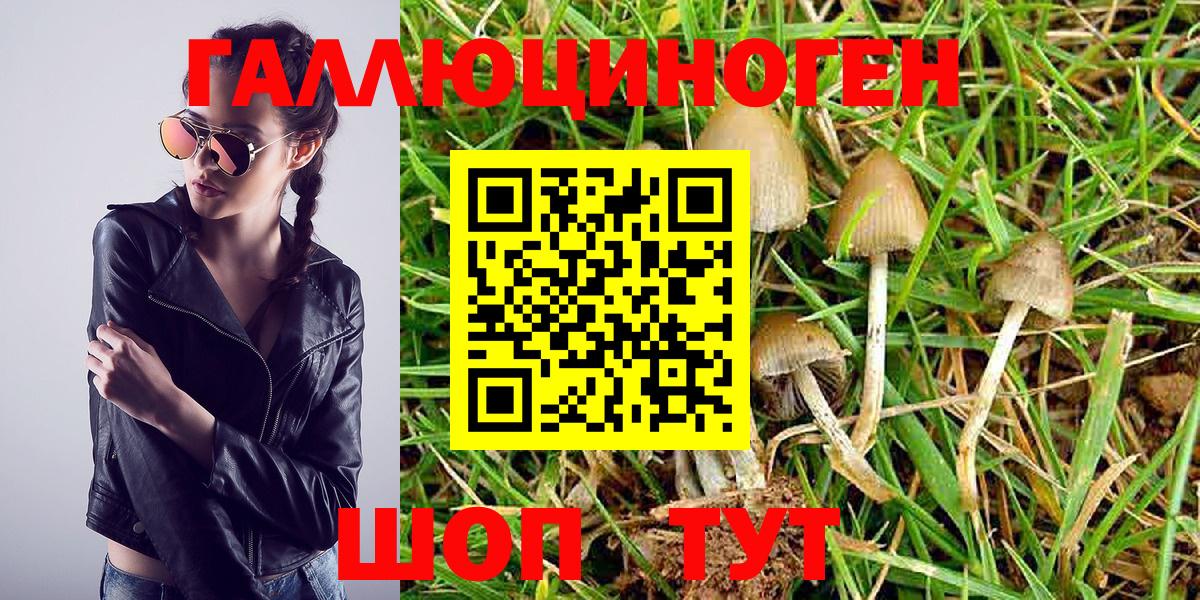 Галлюциногенные грибы Magic Shrooms Скопин