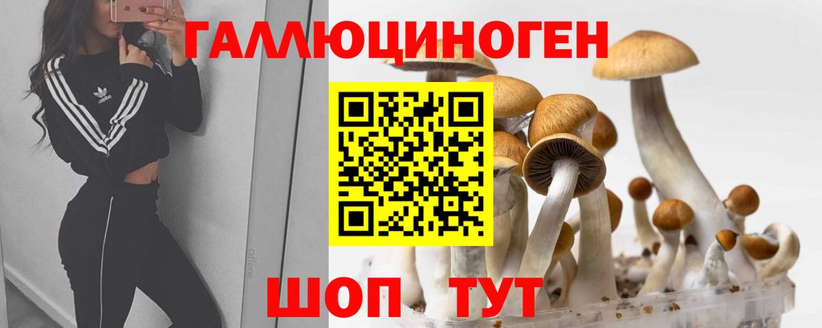 Галлюциногенные грибы Psilocybine cubensis  Вход с VPN  закладки  Скопин 